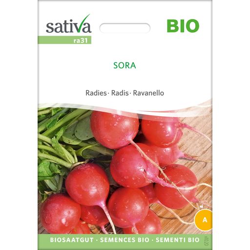 Sativa Bio Radies "Sora" - 1 Pkg