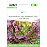 Sativa Bio Kopfsalat Freiland "Roxy"