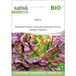 Sativa Bio Kopfsalat Freiland "Roxy"