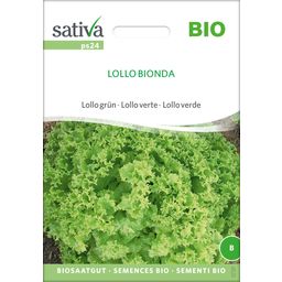 Sativa Lollo Verde Bio - Lollo Bionda - 1 conf.