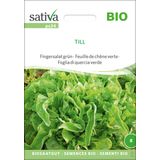 Sativa Bio Fingersalat grün "Till"