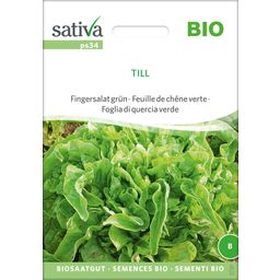 Sativa Bio Fingersalat grün 