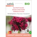 Sativa Organic Perennial Flower Crimson Silene - 1 Pkg