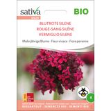 Sativa Fiore Perenne - Vermiglio Silene Bio