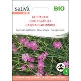 Sativa Biologische Vaste Plant "Heidenelke"