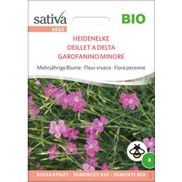Sativa Organic Perennial Flower "Maiden Pink"