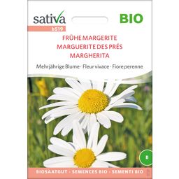 Sativa Bio Mehrjährige Blume "Frühe Margerite"