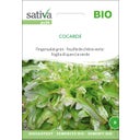Sativa