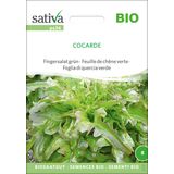 Sativa Foglia di Quercia Verde Bio - Cocarde