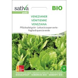 Sativa Bio Pflücksalat grün "Venezianer"