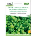 Sativa Cresson à Grandes Feuilles Bio - 1 sachet
