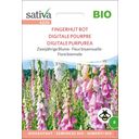 Sativa Bio Zweijährige Blume 