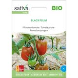 Sativa Bio slivov paradižnik "Black Plum"