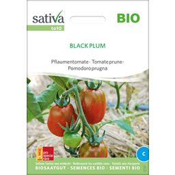 Sativa Tomate Ciruela Ecológico - Ciruela Negra - 1 paq.