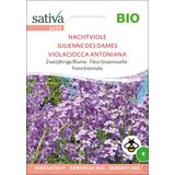 Sativa Bio Zweijährige Blume "Nachtviole"