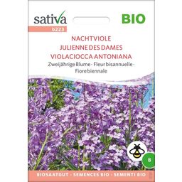 Sativa Bio Zweijährige Blume "Nachtviole"