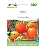 Sativa Bio Tomate "Auriga"