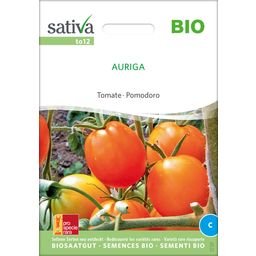 Sativa Tomate Ecológico - Auriga - 1 paq.
