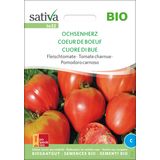 Sativa Oxheart Organic Beefsteak Tomato