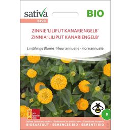 Fiore Annuale -  Zinnia Bio Liliput Kanariengelb - 1 conf.