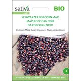 Biologische Popcornmaïs  "Schwarzer Popcorn Mais"