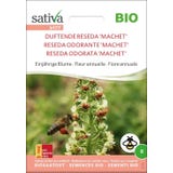 Sativa Bio letnička "R&yacute;t vonn&yacute; &rsquo;Machet&lsquo;"