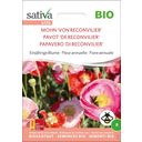 Sativa Pavot de Reconvilier Bio - 1 sachet