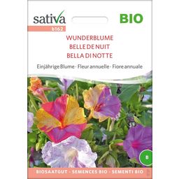 Sativa Organic "Four O'Clock Flower",  Annual