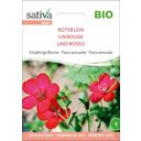Sativa Lin Rouge Bio - 1 sachet