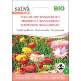 "'Roggli Riesen' Strawflower" Organic Annual