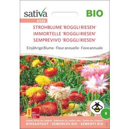 Bio Einjährige Blume "Strohblume 'Roggli Riesen'"