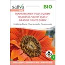 Fiore Annuale -  Girasole Bio Velvet Queen - 1 conf.