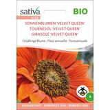 "Sunflower 'Velvet Queen'" Organic Annual Flower