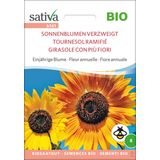 Sativa Bio "Elágazó napraforgó" egynyári virág