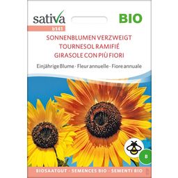 Sativa "Branched Sunflower" Organic Annual