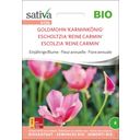 Fiore Annuale -  Escolzia Bio Reine Carmin - 1 conf.