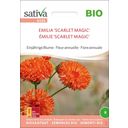Sativa Fiore Annuale - Emilia Bio Scarlet Magic - 1 conf.