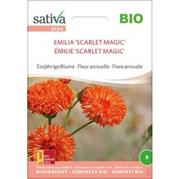Bio Einjährige Blume "Emilia 'Scarlet Magic'"