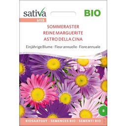 Sativa Bio enoletni cvet "Poletne astre"