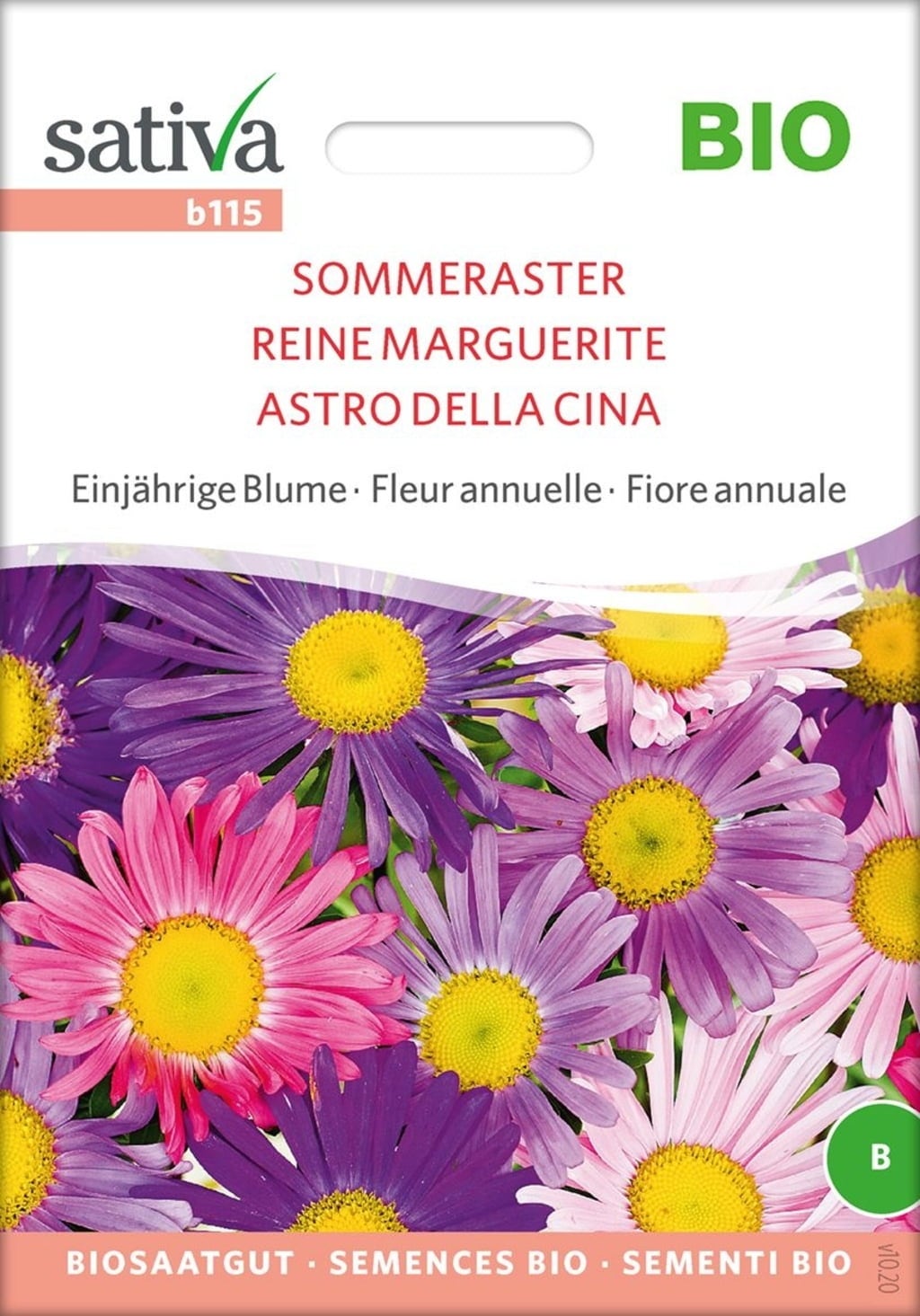 Sativa Bio Einjährige Blume "Sommeraster"