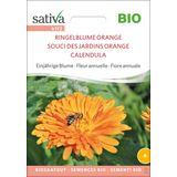 Sativa Bio enoletna roža "Ognjič oranžen"
