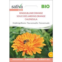 Sativa Souci des Jardins Orange Bio - 1 sachet
