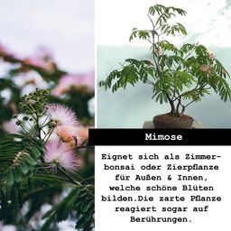 growbro Bäume & Sträucher 