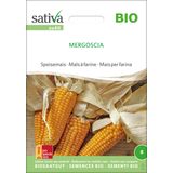 Sativa Biologische Suikermaïs - Mergoscia