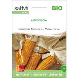 Sativa Kukurydza zwyczajna bio "Mergoscia"