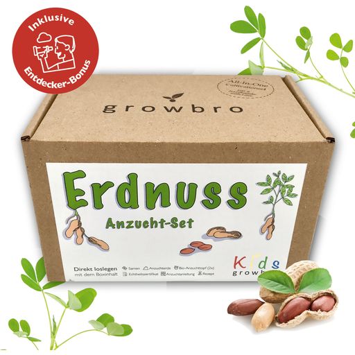 growbro Kit de Culture pour Enfants - Arachide - 1 kit