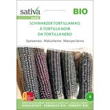 Biologische Suikermaïs "Schwarzer Tortillamais"
