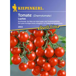 Kiepenkerl Cherry Tomato 