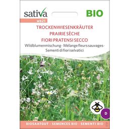Bio Wildblumenmischung "Trockenwiesenkräuter"