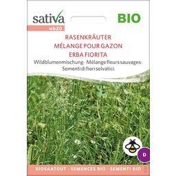 Sativa Bio Wildblumenmischung "Rasenkräuter"